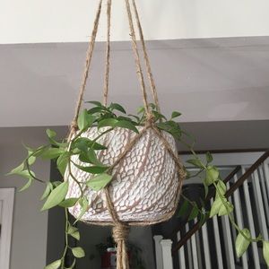 Plant hanger 🤎